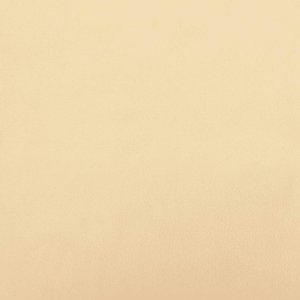 vidaXL 2-osobowa kanapa, kremowa, tapicerowana aksamitem 10