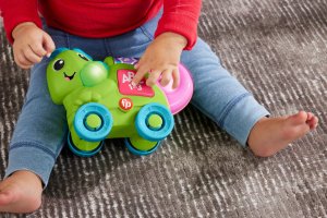 FP LINK SQUAD KAMELON ZNAWCA KOLOROW HYL34 WB2 5