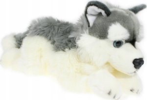 Pies husky 42cm 32041 2