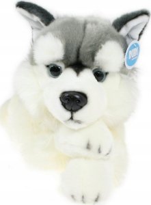 Pies husky 42cm 32041 3