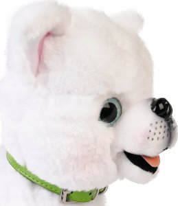 Piesek chodzący na smyczy 169137 2