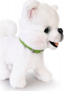 Piesek chodzący na smyczy 169137 6