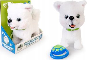 Piesek chodzący na smyczy 169137 9