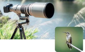 K&F Concept KF31.052 Głowica 360 na statyw 3