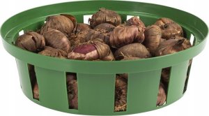10x Koszyk okrągły na cebulki 18cm Osłonka do sadzenia 8