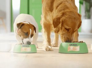 Friskies Dog Junior Kurczak i marchewka w sosie saszetka 85g 3