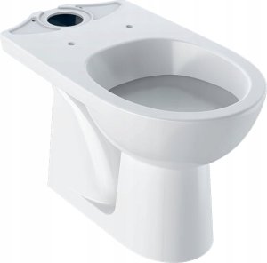 Geberit Selnova Stojąca miska WC do spłuczki nasadzanej, lejowa, B36cm, H39cm, T67cm, odpływ pionowy 1