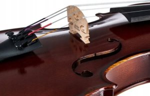 Zestaw Skrzypiec Roth&Junius RJV-S Student Violin Set 4/4 z Akcesoriami 9