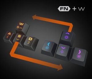 COUGAR | COMBAT | COMBO KB+Mouse | AURORA S Gaming 2