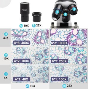 Mikroskop Optyczny Biologiczny Techrebal BioVision 2000x do Edukacji Nauki 5