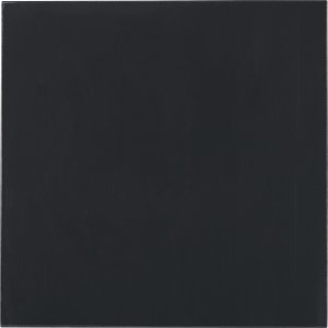 Thermal Grizzly Minus Pad Basic - 100 x 100 x 1,0 mm, 2 Stück 1