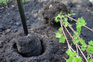 Earth auger BIG, 130 x 15 cm 4