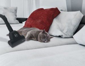 Cyclonic vacuum cleaner HOOVER HP322PET 011 10