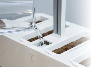 Véritable Lingot Červená mini paprika - BIO 4