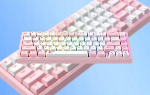 Klawiatura mechaniczna gamingowa HAVIT KB874L RGB (różowo-biała) 11