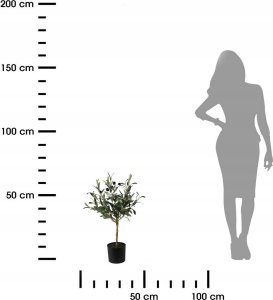 ProGarden Sztuczna roślina drzewko oliwne, 66 cm 2
