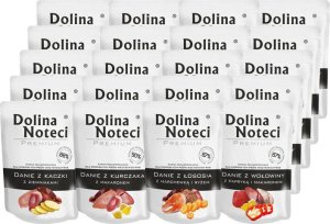 Dolina Noteci Premium Mix smaków 20x300g 1
