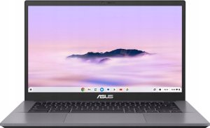 Asus Chromebook Plus Enterprise CB3402CVA-PQ0075 14"FHD/Core 3 100U/8GB/256GB/Intel/ChromeOS Black 3Y 1