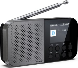Sharp DR-P520 DAB+/BT/USB C/integrated Battery radio black 1