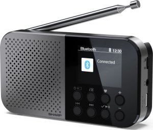 Sharp DR-P520 DAB+/BT/USB C/integrated Battery radio black 3
