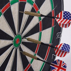 TARCZA DO RZUTEK DART SHT-50 2