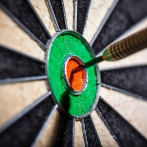 TARCZA DO RZUTEK DART SHT-50 4