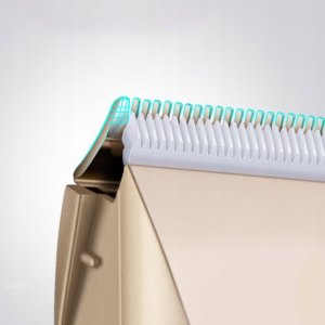 MASZYNKA DO STRZYŻENIA PSÓW BASIC A69 12