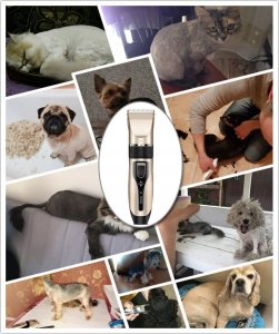 MASZYNKA DO STRZYŻENIA PSÓW BASIC A69 5