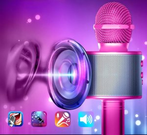 Mikrofon Renew Force MIKROFON KARAOKE BLUETOOTH WM-308 5