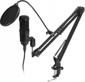 MIKROFON STUDYJNY BM-800 2