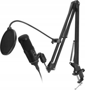 MIKROFON STUDYJNY BM-800 5