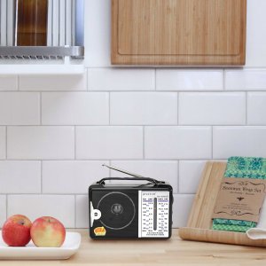 RADIO KUCHENNE HZ-100 2