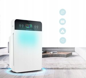 Oczyszczacz powietrza Carruzzo 883 11