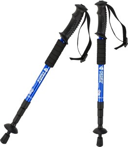 KIJE DO NORDIC WALKING GOTA-1 2szt 4