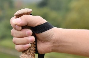 KIJE DO NORDIC WALKING GOTA-2 2szt 31