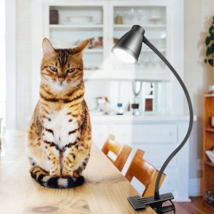 Lampka biurkowa Rabalux czarna  (5905370209341) 11