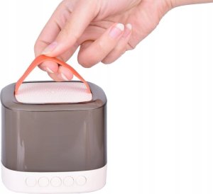 Mikrofony z głośnikiem bezprzewodowy + bluetooth + 2 mikrofony IN0178 3