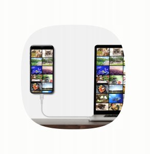 Kabel USB Green Cell USB-C - USB-C 0.3 m Czarny (KABGC100PF30PB) 3