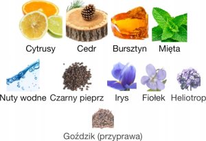 Cartier Pasha Edition Noire edt 100ml 2