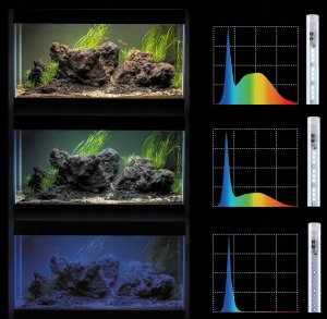 Aquael Akvar. Aqua4Start 60 panor. kompl. D&N 5