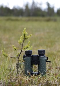 Focus Observer 8x50 HD 5