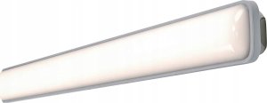Public space luminaire LEDVANCE SUBMARINE, 36 W, 3000 lm, 4000 K, IP65, 120 cm 1