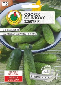 Ogórek Hermes Skierniewicki F1 nasiona na taśmie 6m wczesna odmiana 1