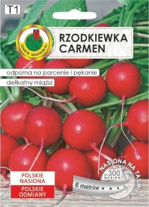 Rzodkiewka CARMEN - Polska odmiana do całorocznej uprawy nasiona 1