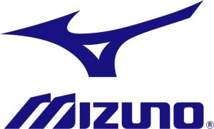 Mizuno Neo Zen J1GD258621 Miętowy 40 2