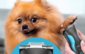 ML Trymer dla zwierząt Oneisall DTJ-002 6