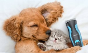 ML Trymer dla zwierząt Oneisall DTJ-002 7