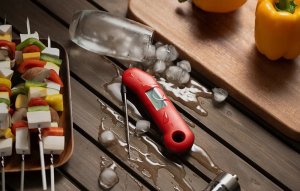 ML Termometr ręczny ThermoMaven F1 Turbo Black 10