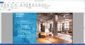 ASHAMPOO PDF Pro 4 2