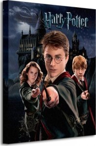 GF Harry Potter Harry Ron Hermione - Obraz na płótnie 40x50 cm 1
